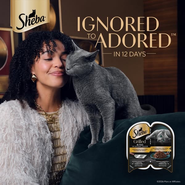 IGNORED TO ADORED™ in 12 days