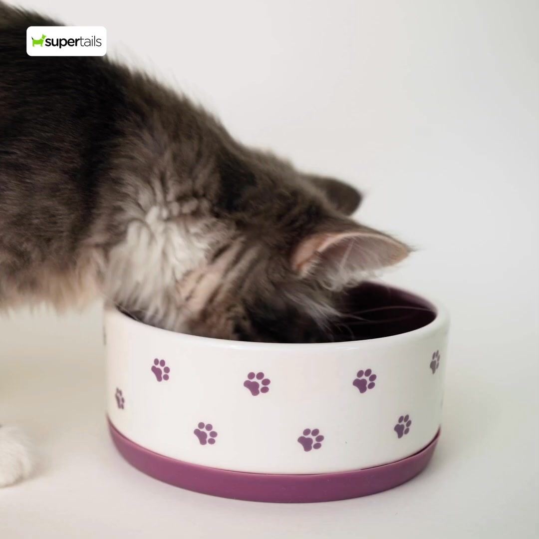Tap once and spoil your pet with top products on Supertails