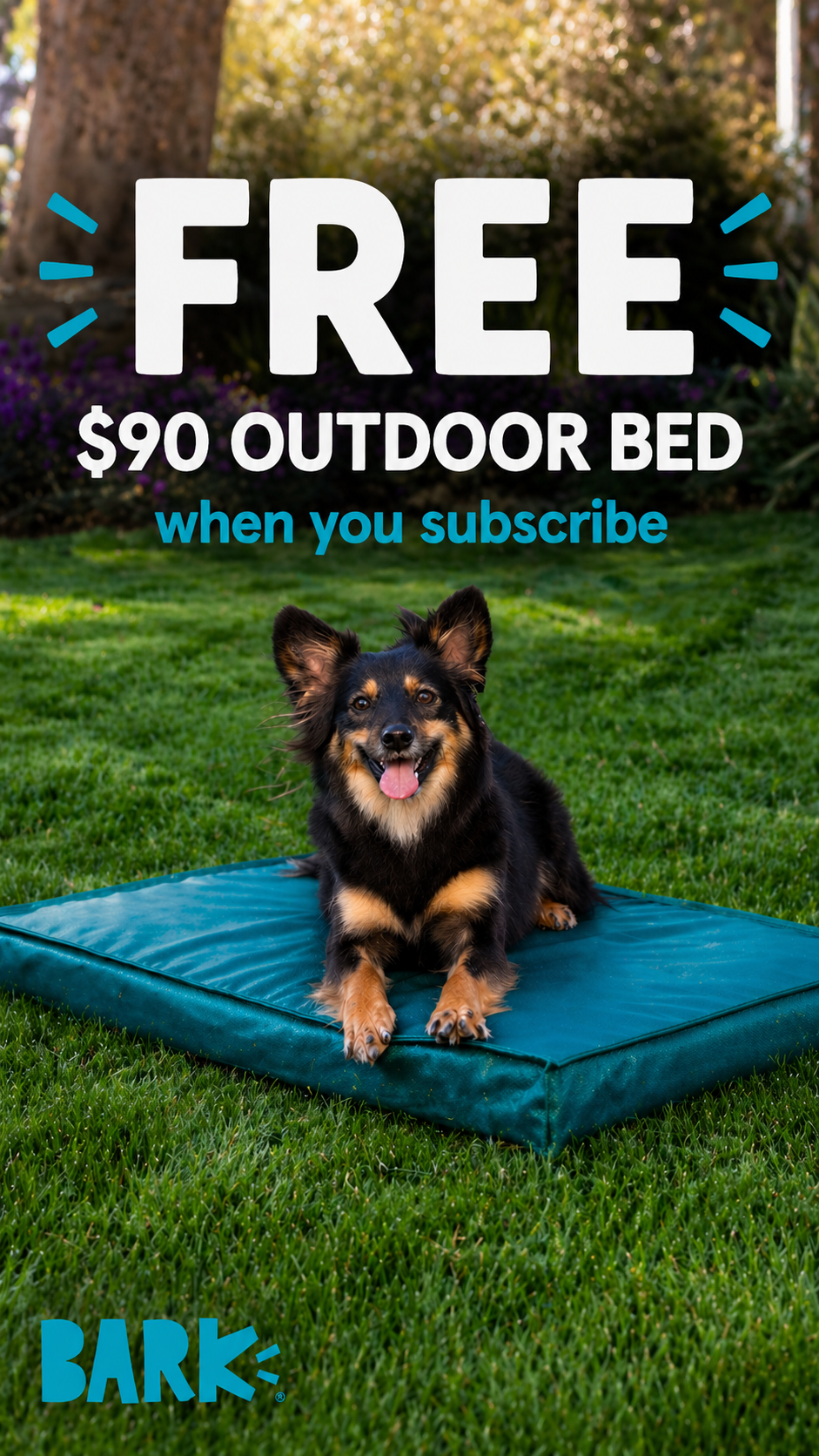 Get your dog to peak outdoor living. Subscribe to BarkBox and get a free outdoor bed.