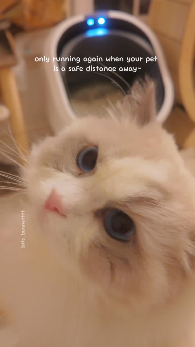 Litter? Scooped. Smell? Gone 😏 Finally hopped on the auto-litter box train, and we’ve chosen @petlibro for a reason! 

Monitoring Bennett’s bathroom habits has always been very important to me— male cats are notoriously 
