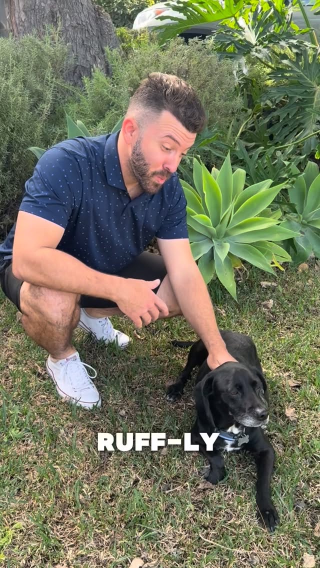 The hardest part of parenting is handing out the punishment… even when the criminal is THIS cute 🐶

Use the promo code ANTHONY40, to get 40% off a tracker through March 31. Track smarter with @Tractive! #DogDad #Tractive