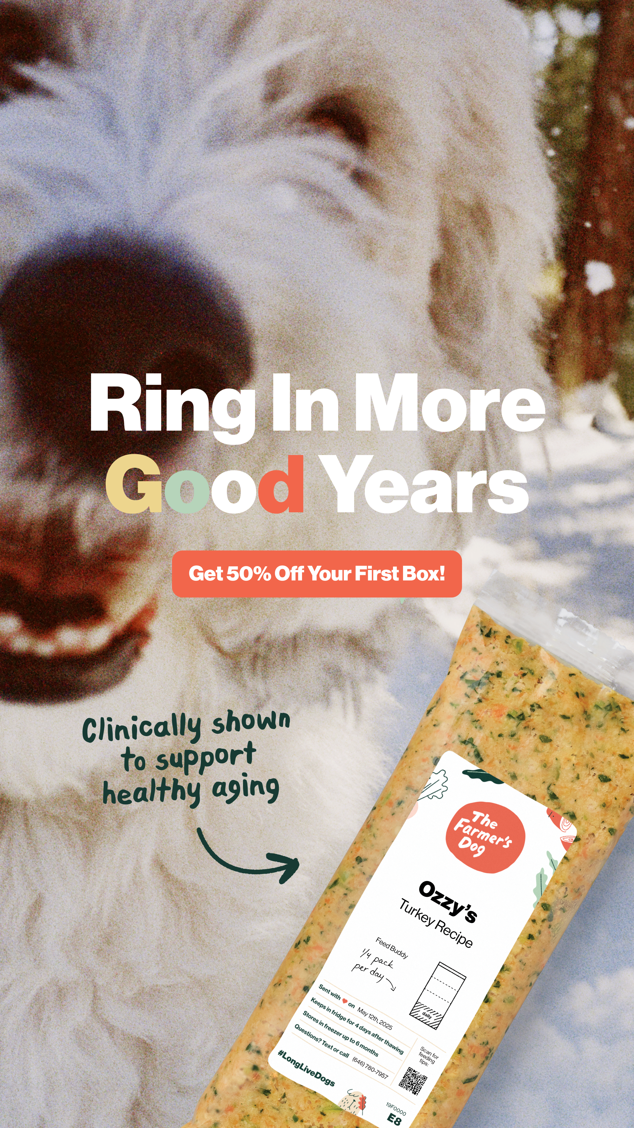 Every year with your dog is a good year. Help them enjoy more good years to come. 💛 Get 50% off your first box of fresh food