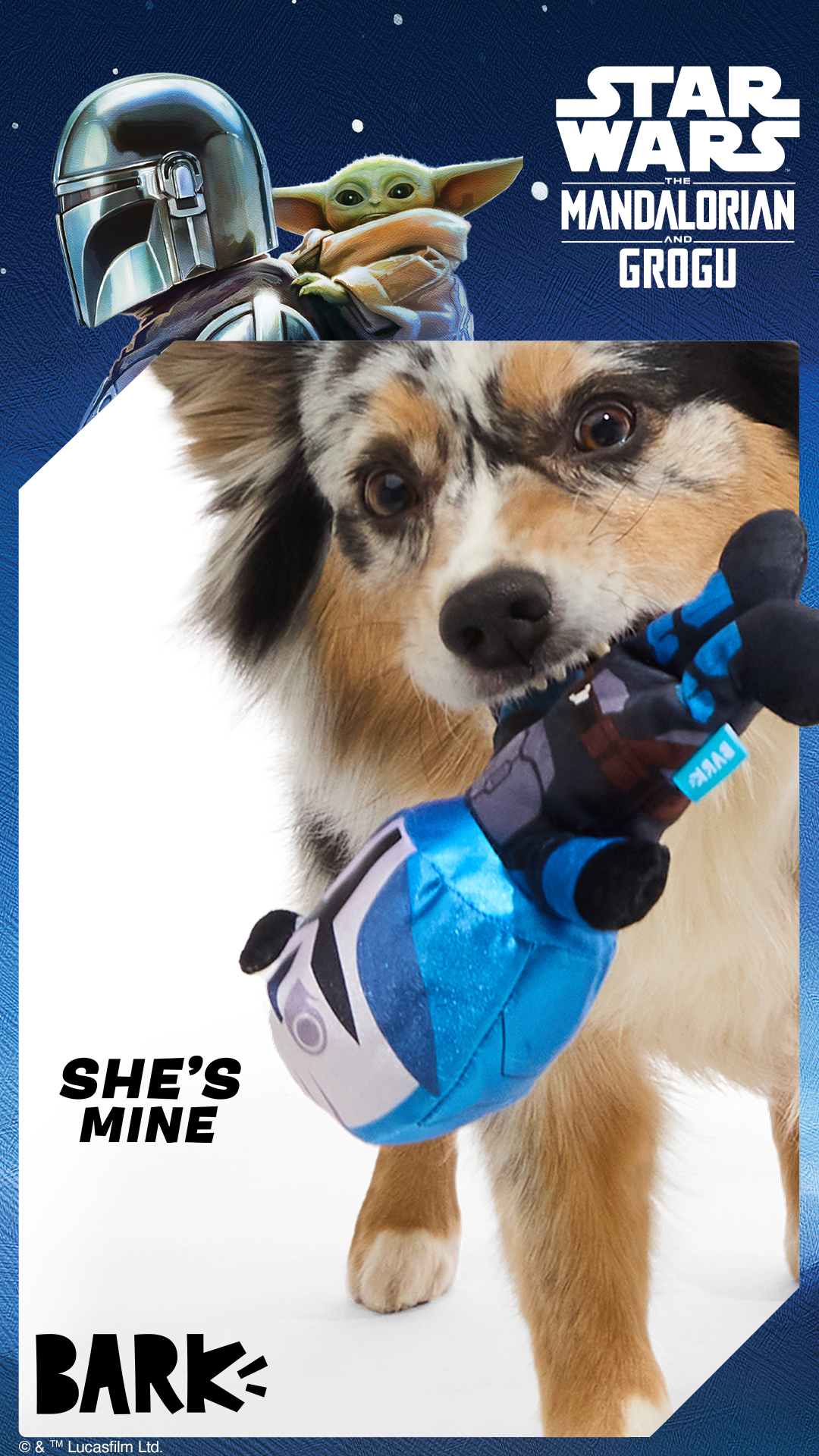 Start your next mission with Star Wars™: The Mandalorian and Grogu themed BARK toys