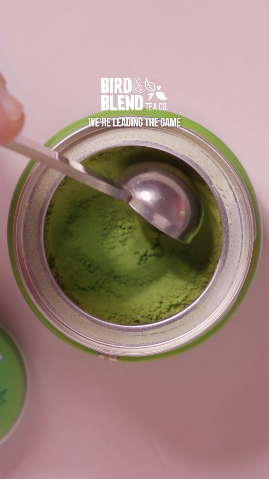 Discover Matcha Blending Experts