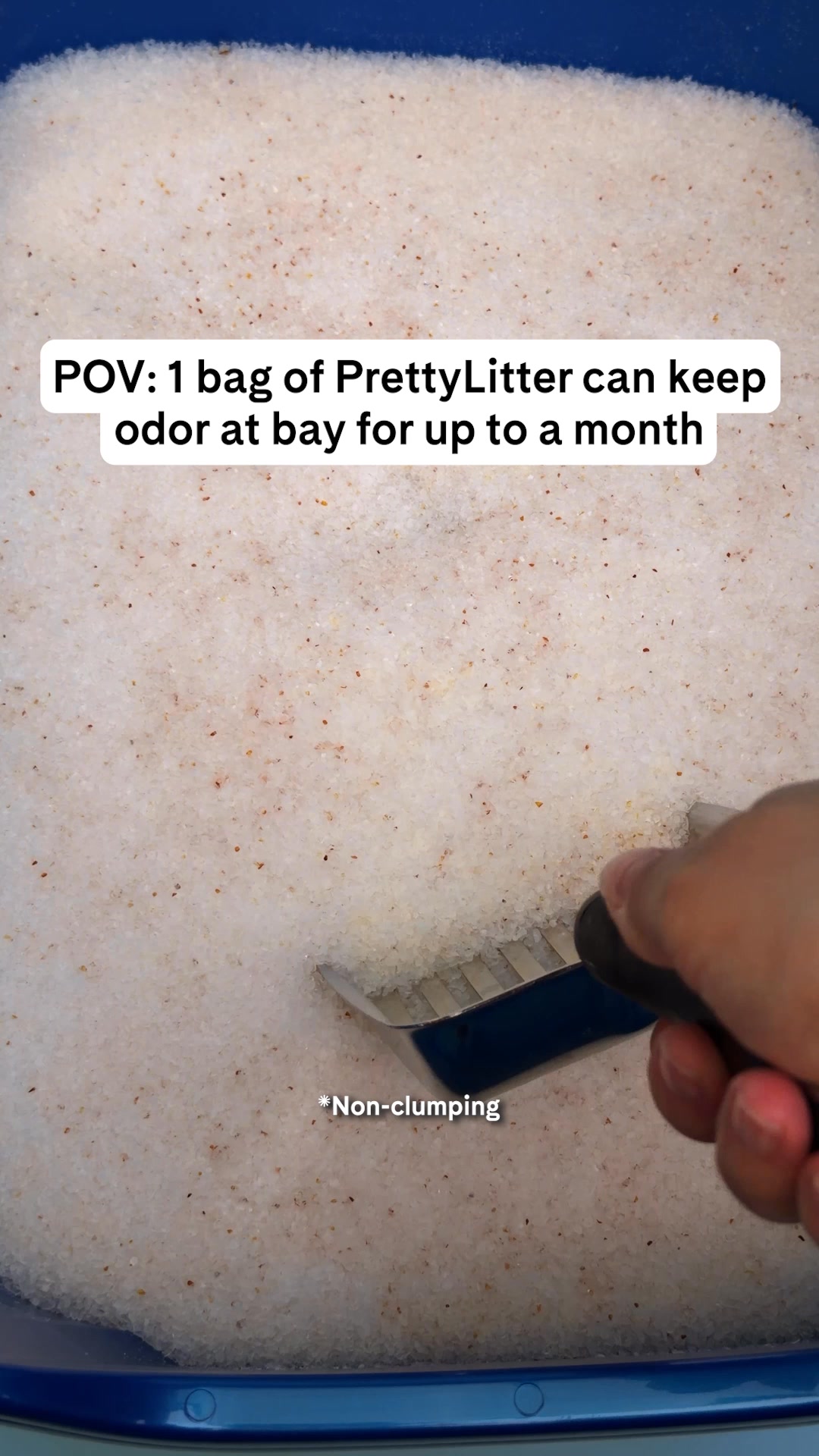 Smell less, know more with PrettyLitter.