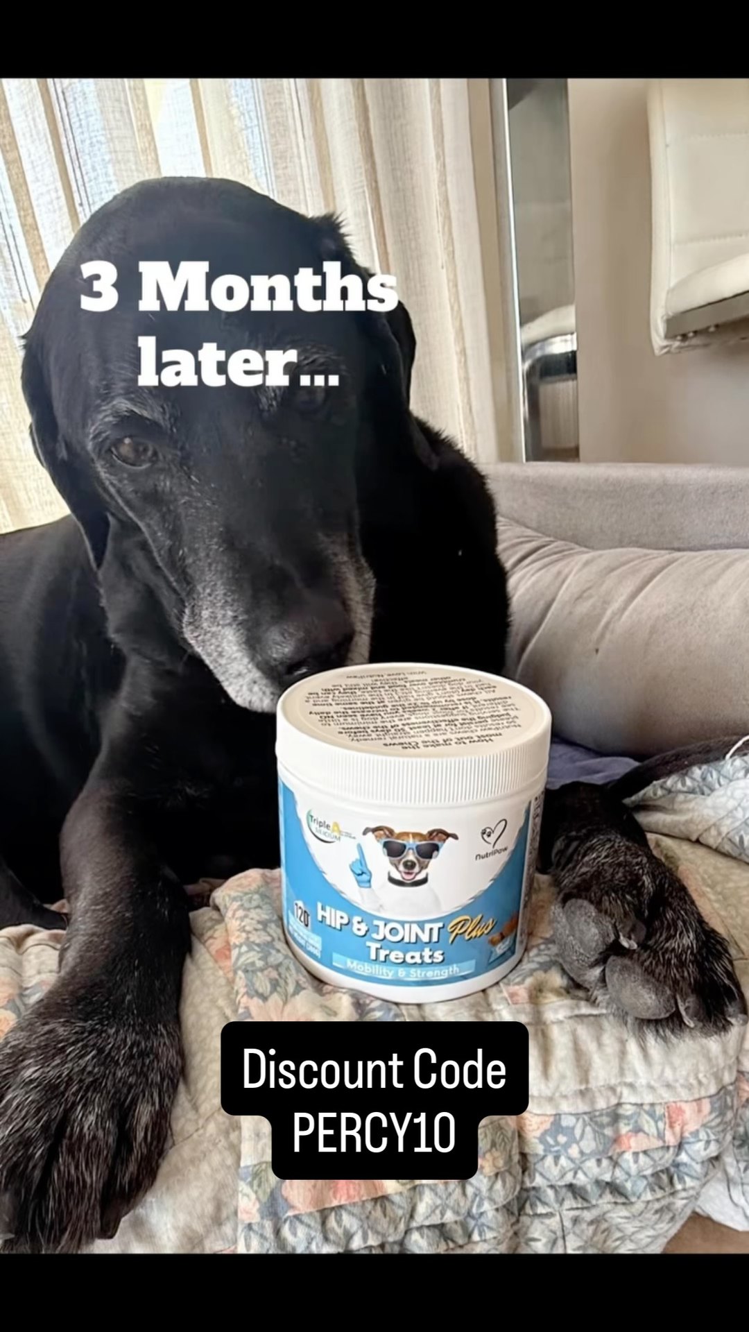 Wish Ed had known about these @nutri_paw Hip & Joint Plus Treats years ago. They have made such a difference to Percy & his friends. DISCOUNT CODE : PERCY10 #percythelabrador #blacklab #seniordog #dogslife #discountcode