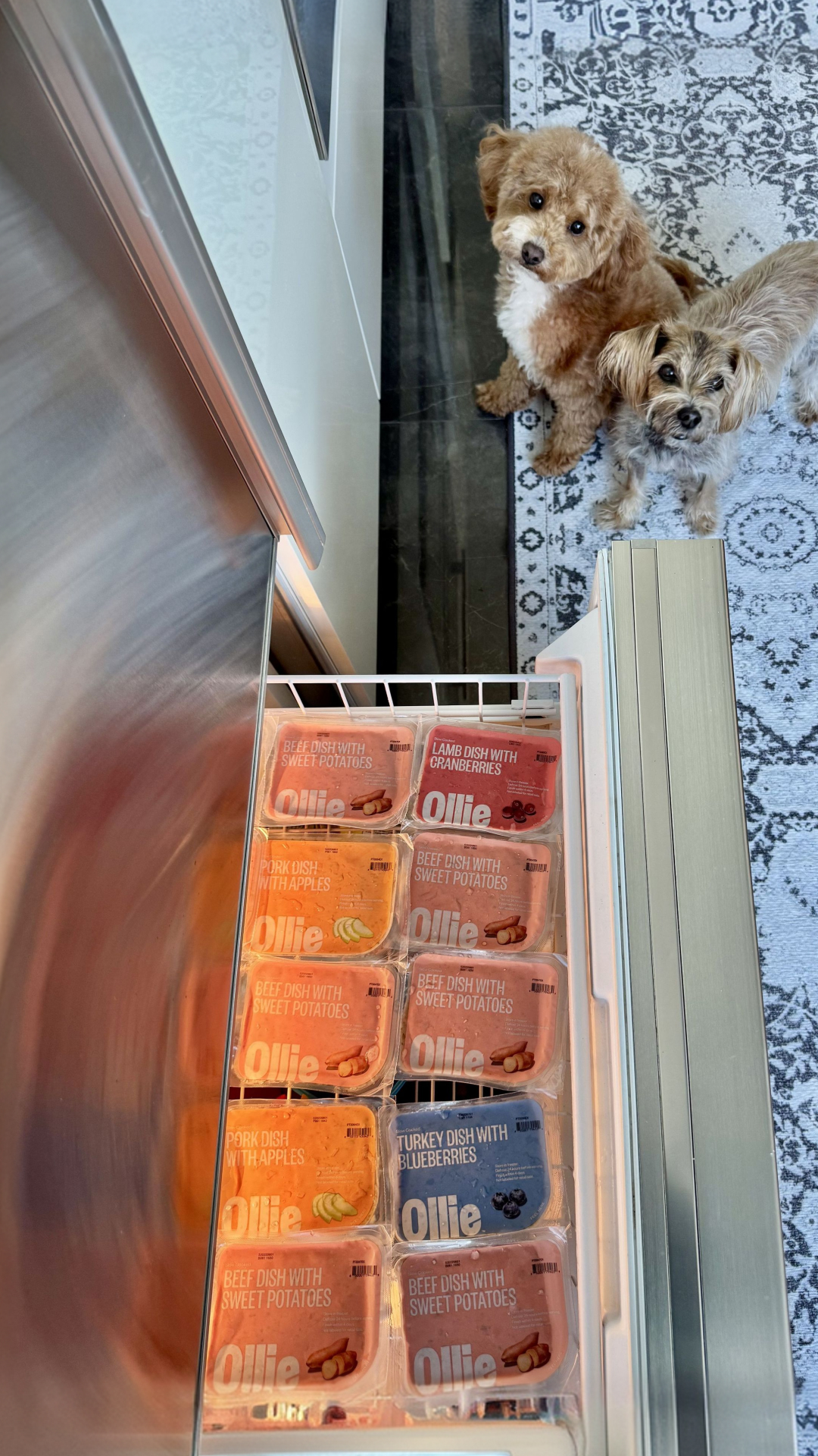 Teddy & Bear fully believe dinner is the most important event of the day… and they’re not wrong. 🐕🐕

I switched them to Ollie because I wanted fresh food that actually felt intentional — real ingredients, personalized po
