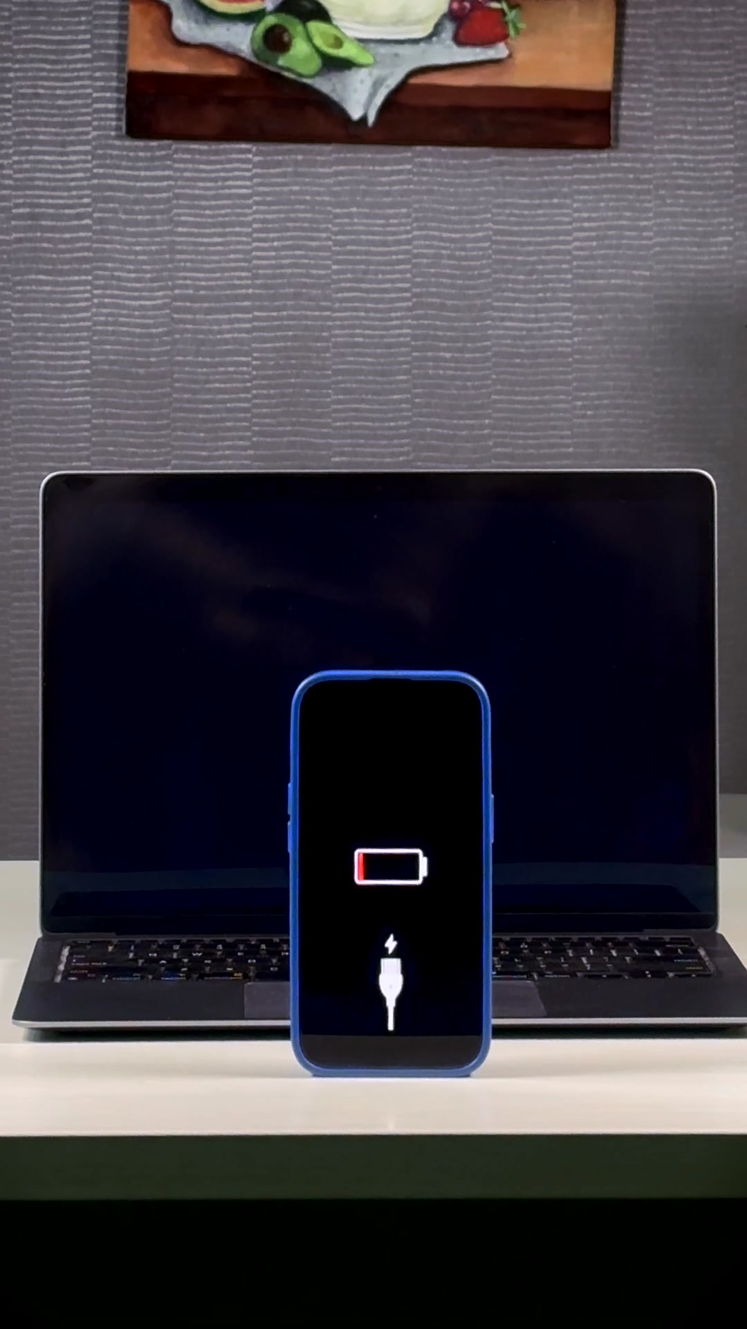 One Powerbank for Everything