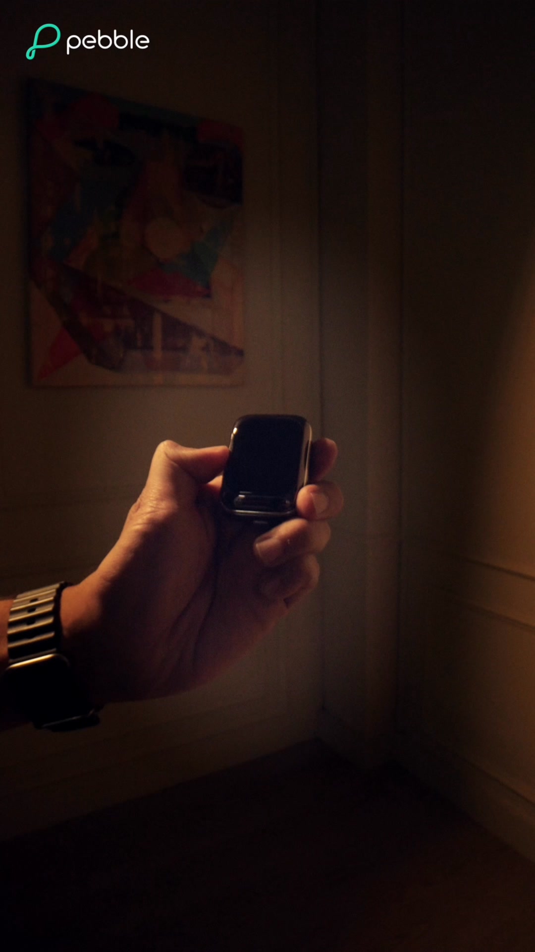 Future-Ready Audio Experience.