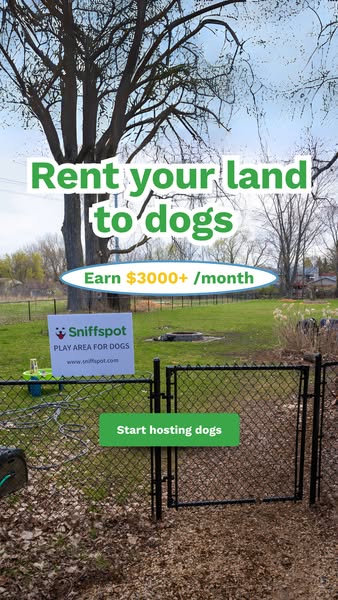 Rent your yard to Dogs 🙌 🐕‍🦺