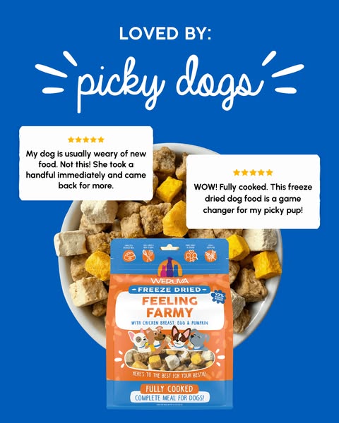 Loved by Picky Dogs 🐶