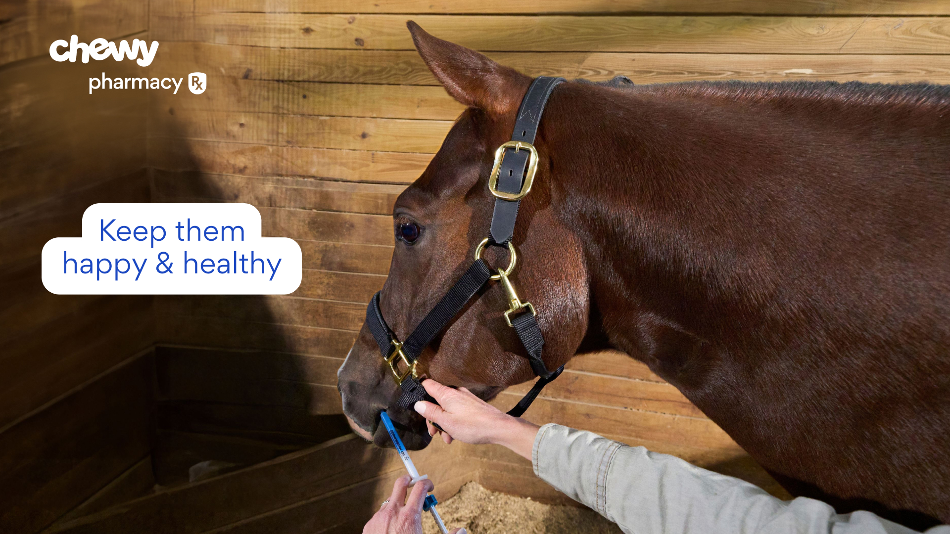 Support your horse this spring with supplements from trusted brands.