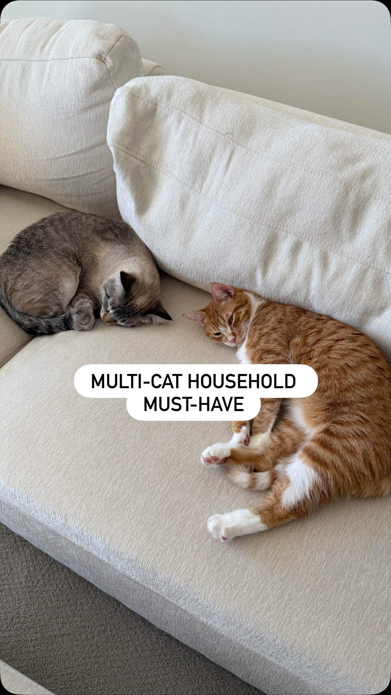 The @petlibro Luma Smart Litter Box is the best thing to happen to us in a long time🐈 As a multi-cat household, it’s made life so much easier with the live-stream camera, multi-cat recognition, triple safety sensors, AI 