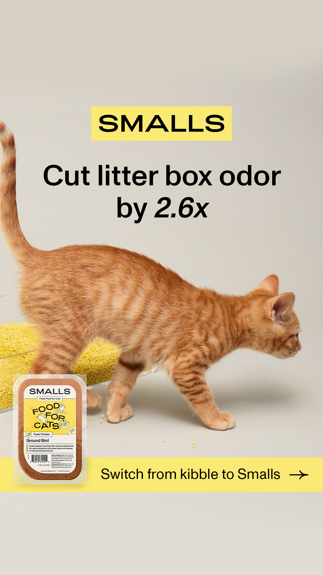Human-Grade Fresh Cat Food