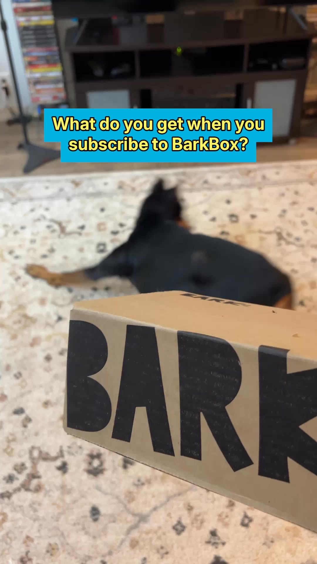 +12 FREE SUPERCHEWER TOYS