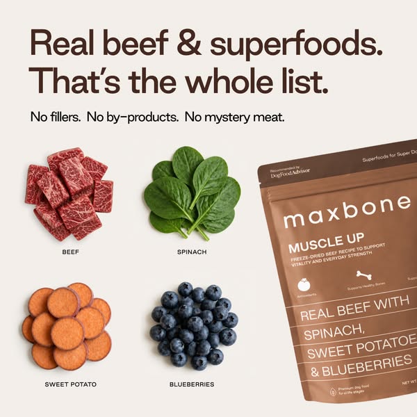 What freeze-dried raw actually looks like.