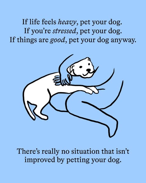 Snuggling with your pup while scrolling through Facebook? �� We feel you! Here are some paws-itive vibes for all the dog lovers out there!

• Who else is a proud #dogparent?
• What's your favorite thing about having a fu