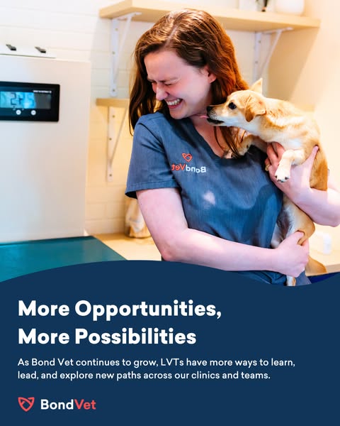 More Opportunities, More Possibilities