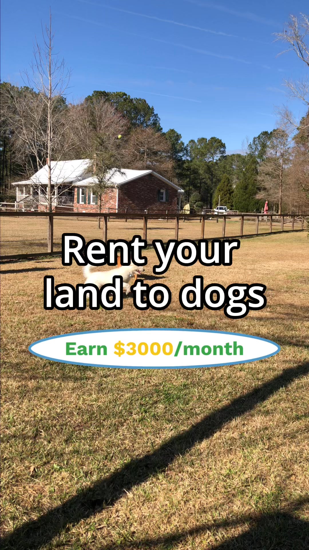 Rent your yard to Dogs 🙌 🐕‍🦺