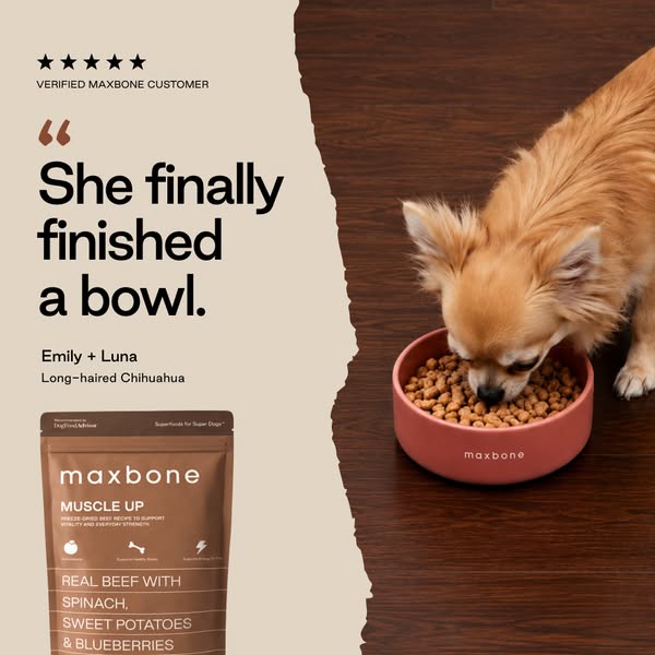 "First food my picky eater actually ran to."