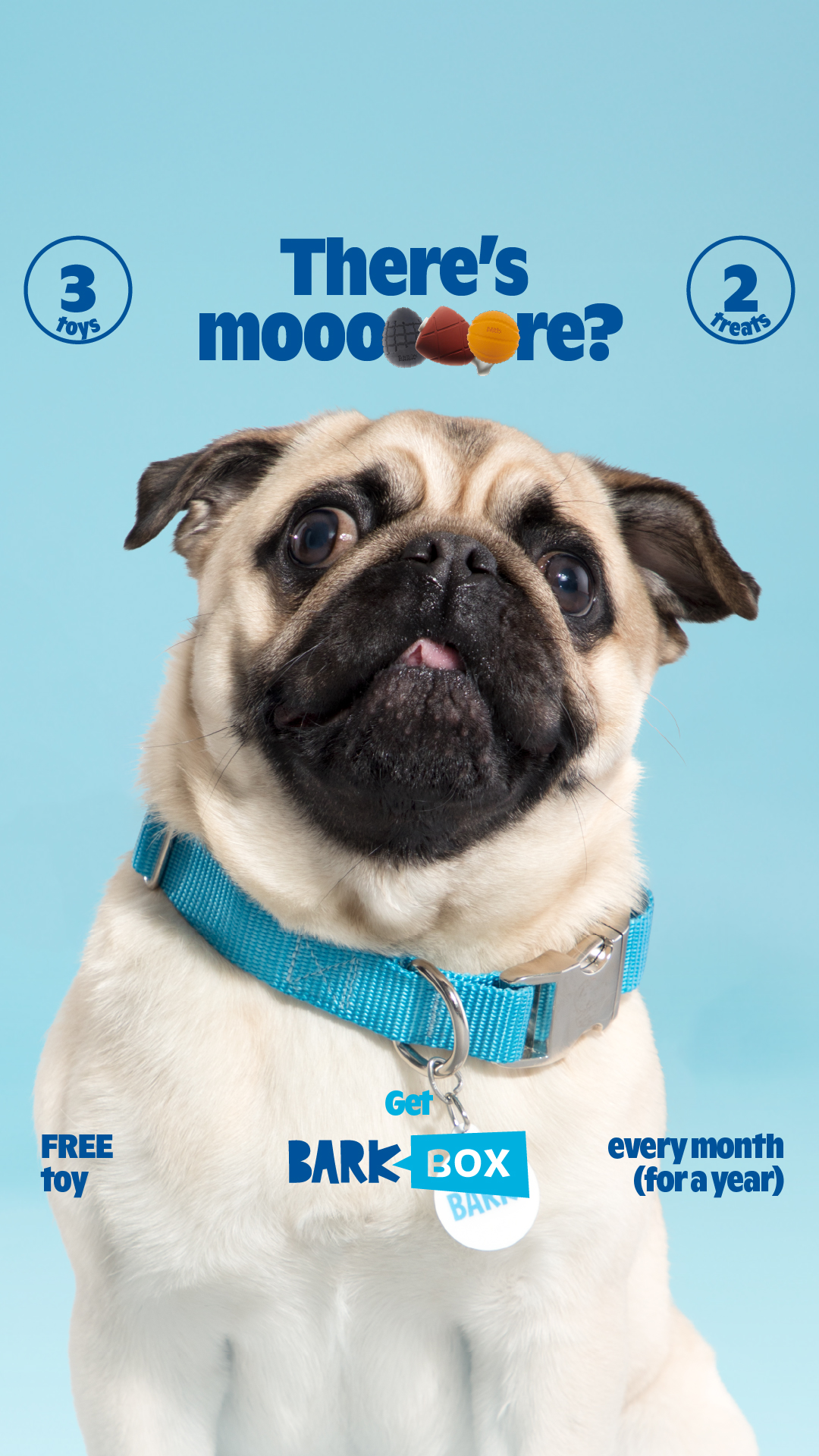 I'm listening... Sign up for BarkBox and get a free toy every month for a year.