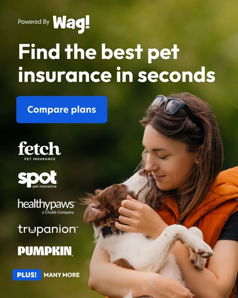 Pet Insurance Made Easy