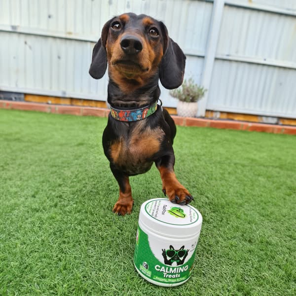 NutriPaw Meta ad creative