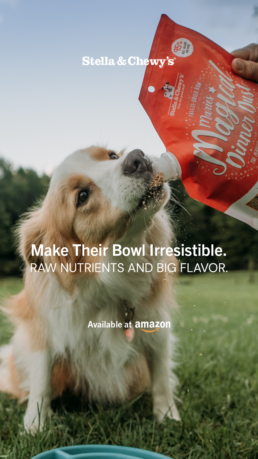 Make Every Bowl Irresistible