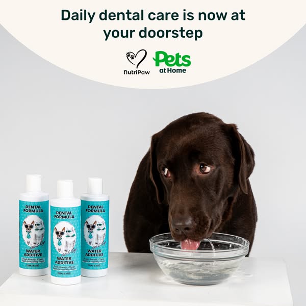 Pop in, pick up NutriPaw today