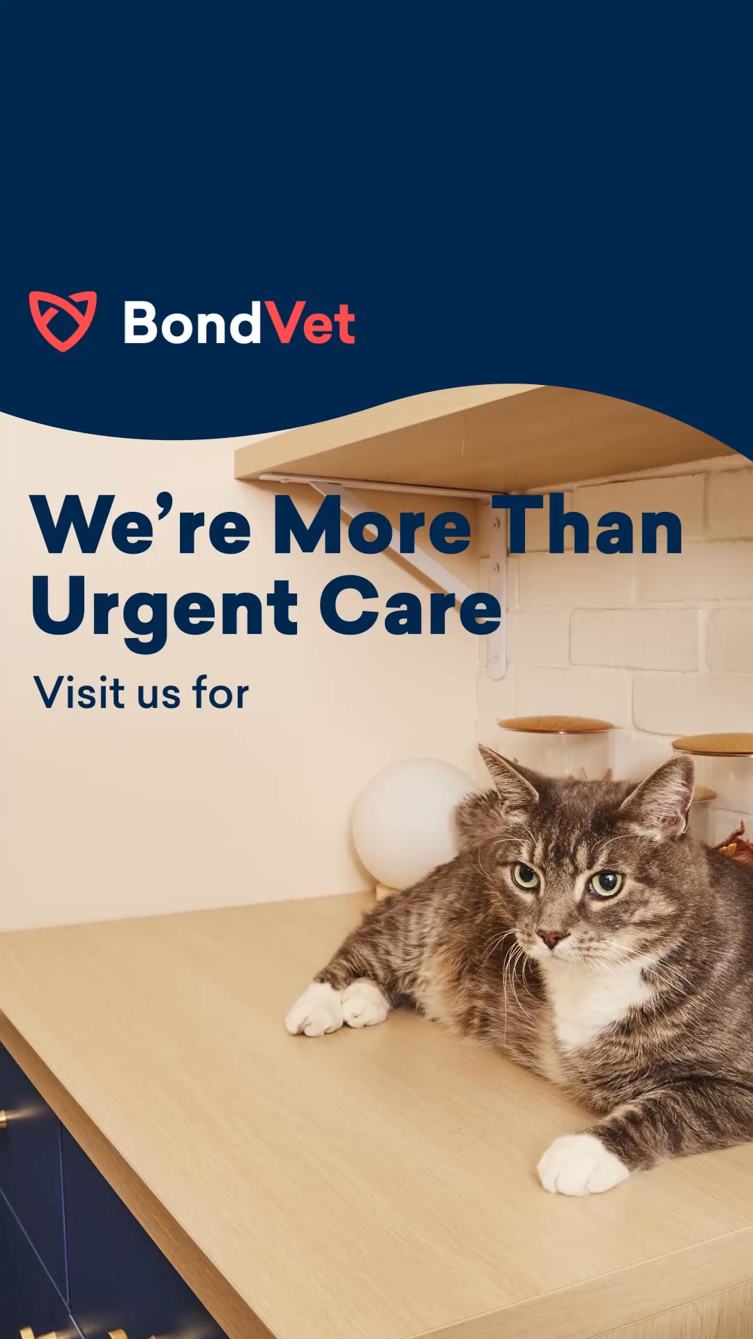 All Your Pet’s Care, One Place
