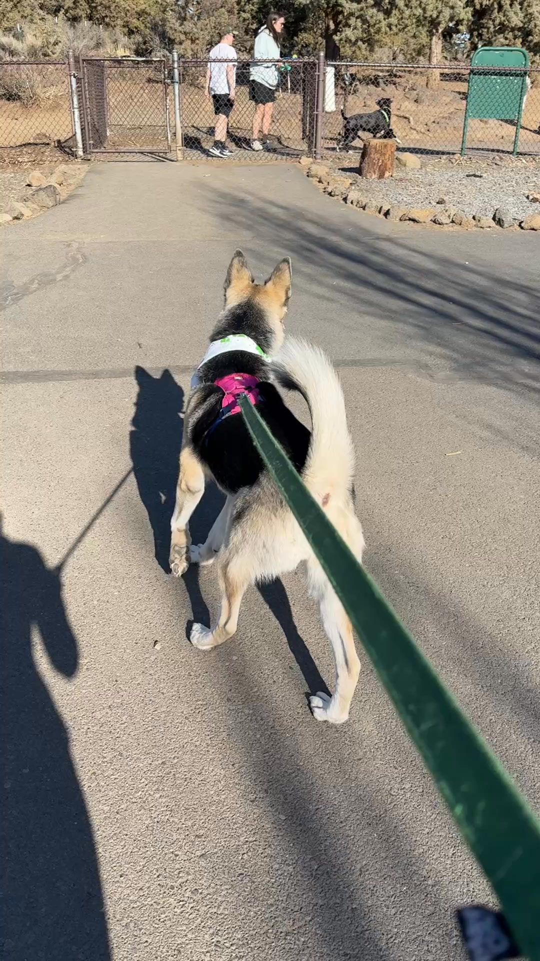 Rent a Yard, For Your Dog 🥰🐶🐕