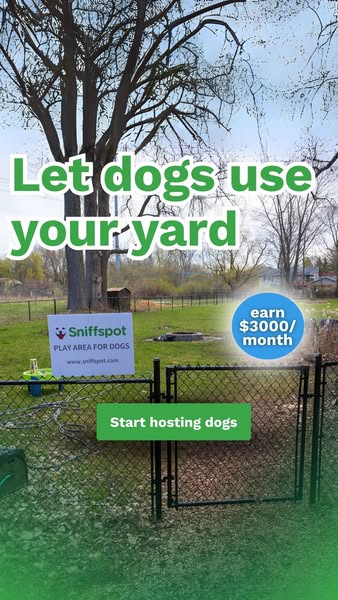 Rent your yard to Dogs 🙌 🐕‍🦺